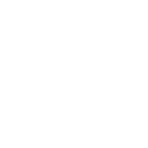 Individual-Driven Icon